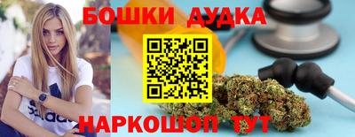 индика Ижевск