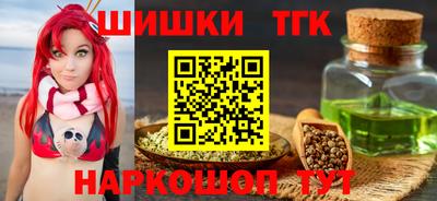 индика Ижевск