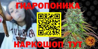 индика Ижевск