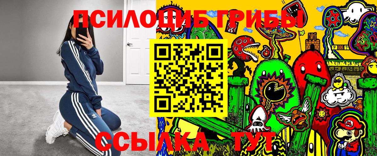 Галлюциногенные грибы MAGIC MUSHROOMS Владимир