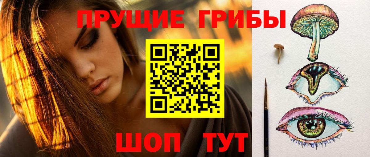 Владимир  Псилоцибиновые грибы GOLDEN TEACHER  Вход с VPN 